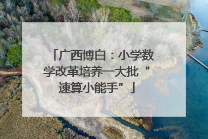 广西博白：小学数学改革培养一大批“速算小能手”