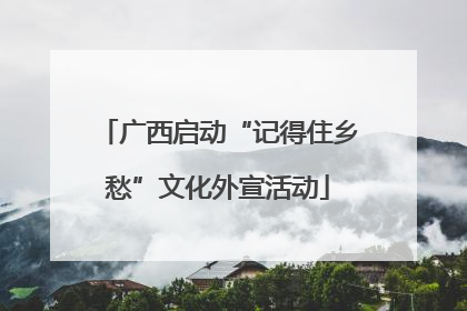 广西启动“记得住乡愁”文化外宣活动