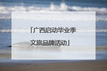 广西启动毕业季文旅品牌活动