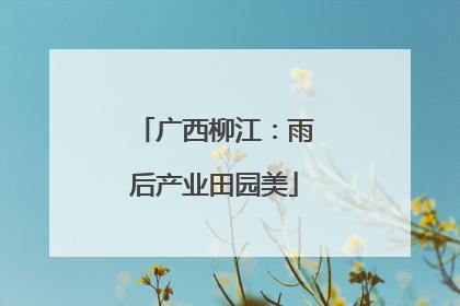广西柳江：雨后产业田园美