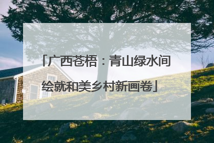广西苍梧：青山绿水间绘就和美乡村新画卷