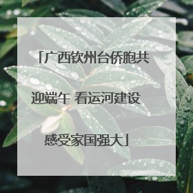 广西钦州台侨胞共迎端午 看运河建设感受家国强大