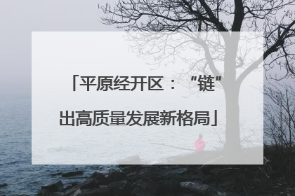 平原经开区：“链”出高质量发展新格局