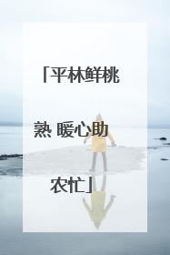 平林鲜桃熟 暖心助农忙