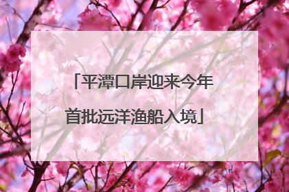 平潭口岸迎来今年首批远洋渔船入境