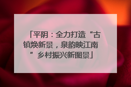 平阴：全力打造“古镇焕新景，泉韵映江南”乡村振兴新图景