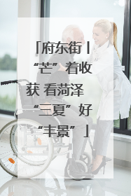 府东街丨“芒”着收获 看菏泽“三夏”好“丰景”