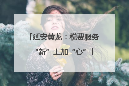 延安黄龙：税费服务“新”上加“心”