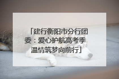 建行衡阳市分行团委：爱心护航高考季 温情筑梦向前行