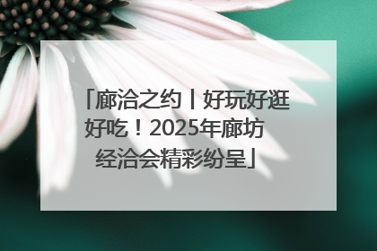 廊洽之约丨好玩好逛好吃！2025年廊坊经洽会精彩纷呈