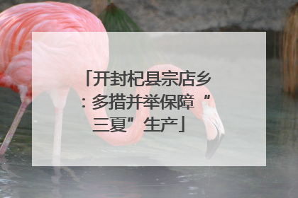 开封杞县宗店乡：多措并举保障“三夏”生产