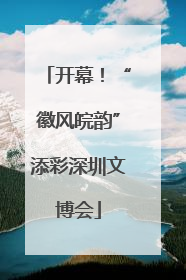 开幕！“徽风皖韵”添彩深圳文博会