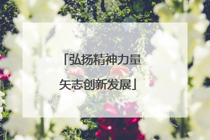 弘扬精神力量 矢志创新发展