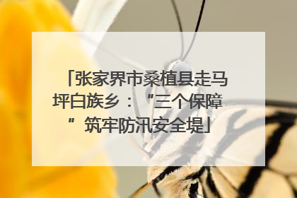 张家界市桑植县走马坪白族乡：“三个保障”筑牢防汛安全堤