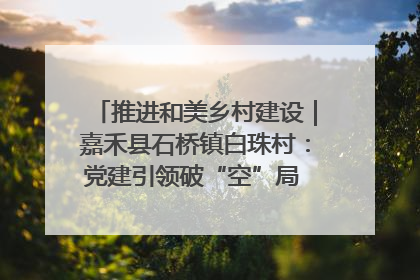 推进和美乡村建设｜嘉禾县石桥镇白珠村：党建引领破“空”局 乡贤聚力绘就新图景