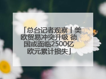 总台记者观察丨美欧贸易冲突升级 德国或面临2500亿欧元累计损失
