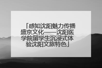 感知沈阳魅力传播盛京文化——沈阳医学院留学生沉浸式体验沈阳文旅特色