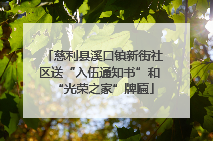 慈利县溪口镇新街社区送“入伍通知书”和“光荣之家”牌匾