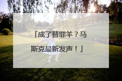 成了替罪羊？马斯克最新发声！