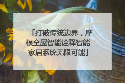 打破传统边界，摩根全屋智能诠释智能家居系统无限可能