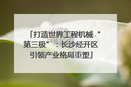 打造世界工程机械“第三极”：长沙经开区引领产业格局重塑