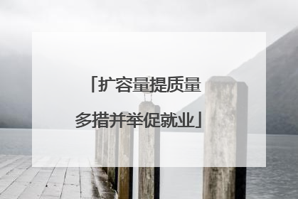 扩容量提质量 多措并举促就业