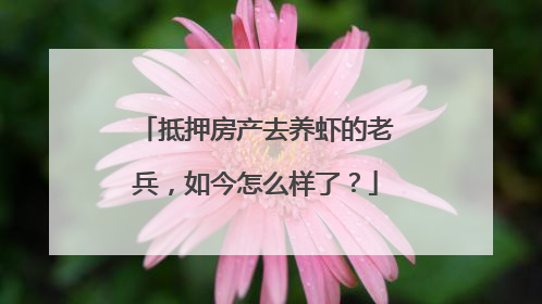 抵押房产去养虾的老兵，如今怎么样了？