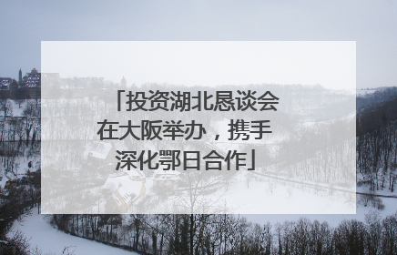 投资湖北恳谈会在大阪举办，携手深化鄂日合作
