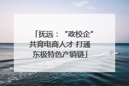 抚远：“政校企”共育电商人才 打通东极特色产销链
