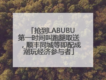 抢到LABUBU第一时间叫跑腿取送，顺丰同城等即配成潮玩经济参与者
