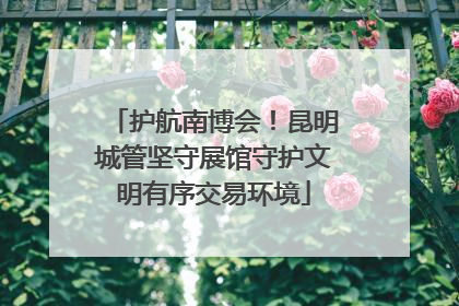 护航南博会！昆明城管坚守展馆守护文明有序交易环境
