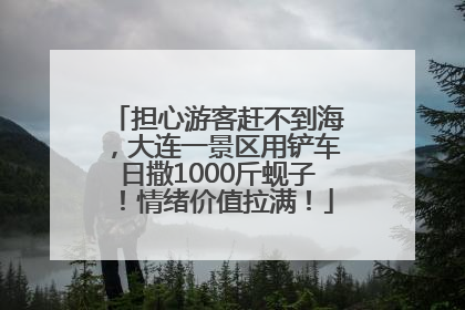 担心游客赶不到海，大连一景区用铲车日撒1000斤蚬子！情绪价值拉满！