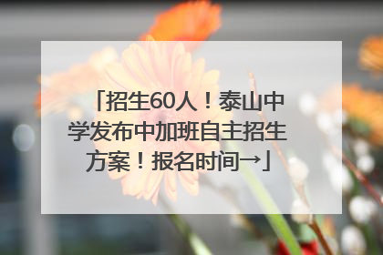 招生60人！泰山中学发布中加班自主招生方案！报名时间→