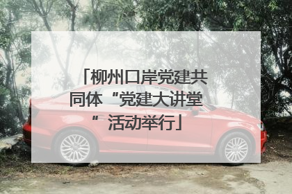 柳州口岸党建共同体“党建大讲堂”活动举行