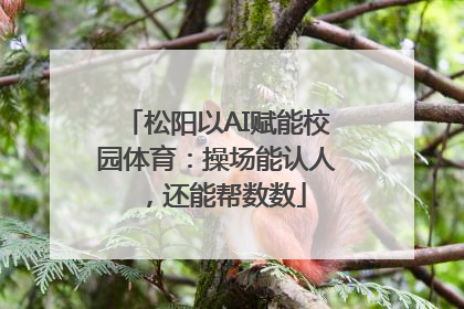 松阳以AI赋能校园体育：操场能认人，还能帮数数