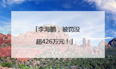 李海鹏，被罚没超426万元！