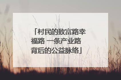村民的致富路幸福路 一条产业路背后的公益脉络