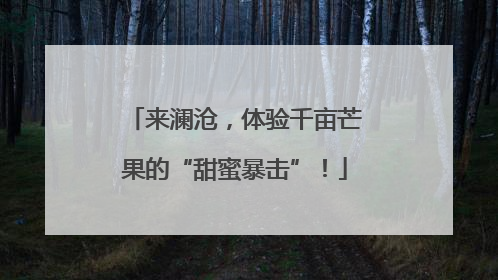 来澜沧，体验千亩芒果的“甜蜜暴击”！