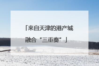 来自天津的港产城融合“三重奏”