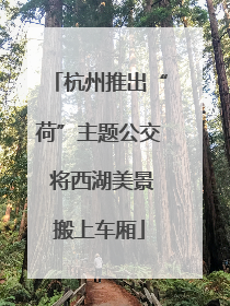 杭州推出“荷”主题公交 将西湖美景搬上车厢
