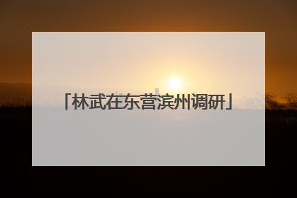 林武在东营滨州调研