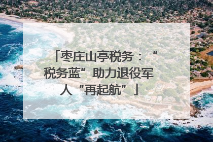 枣庄山亭税务：“税务蓝”助力退役军人“再起航”