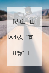 枣庄：山区小麦“喜开镰”