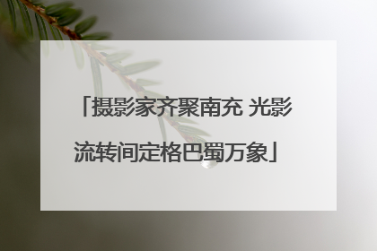 摄影家齐聚南充 光影流转间定格巴蜀万象