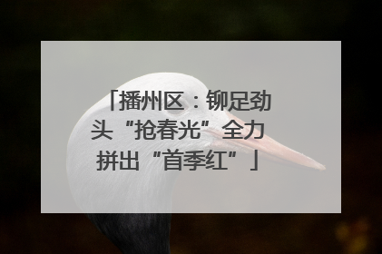 播州区：铆足劲头“抢春光”全力拼出“首季红”