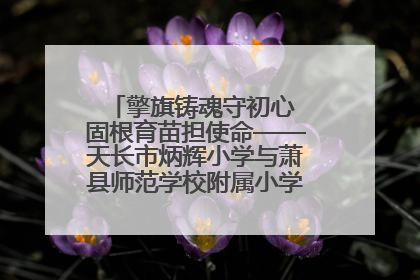 擎旗铸魂守初心 固根育苗担使命——天长市炳辉小学与萧县师范学校附属小学结对共建活动纪实