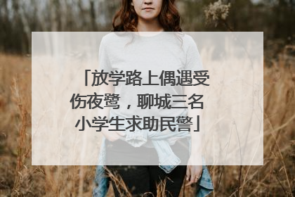 放学路上偶遇受伤夜鹭，聊城三名小学生求助民警