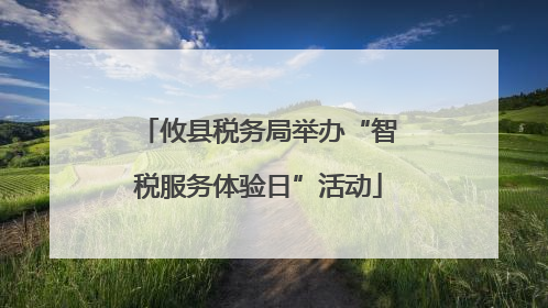 攸县税务局举办“智税服务体验日”活动
