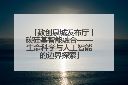 数创泉城发布厅丨碳硅基智能融合——生命科学与人工智能的边界探索