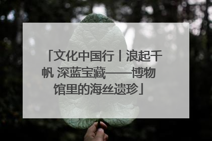 文化中国行丨浪起千帆 深蓝宝藏——博物馆里的海丝遗珍